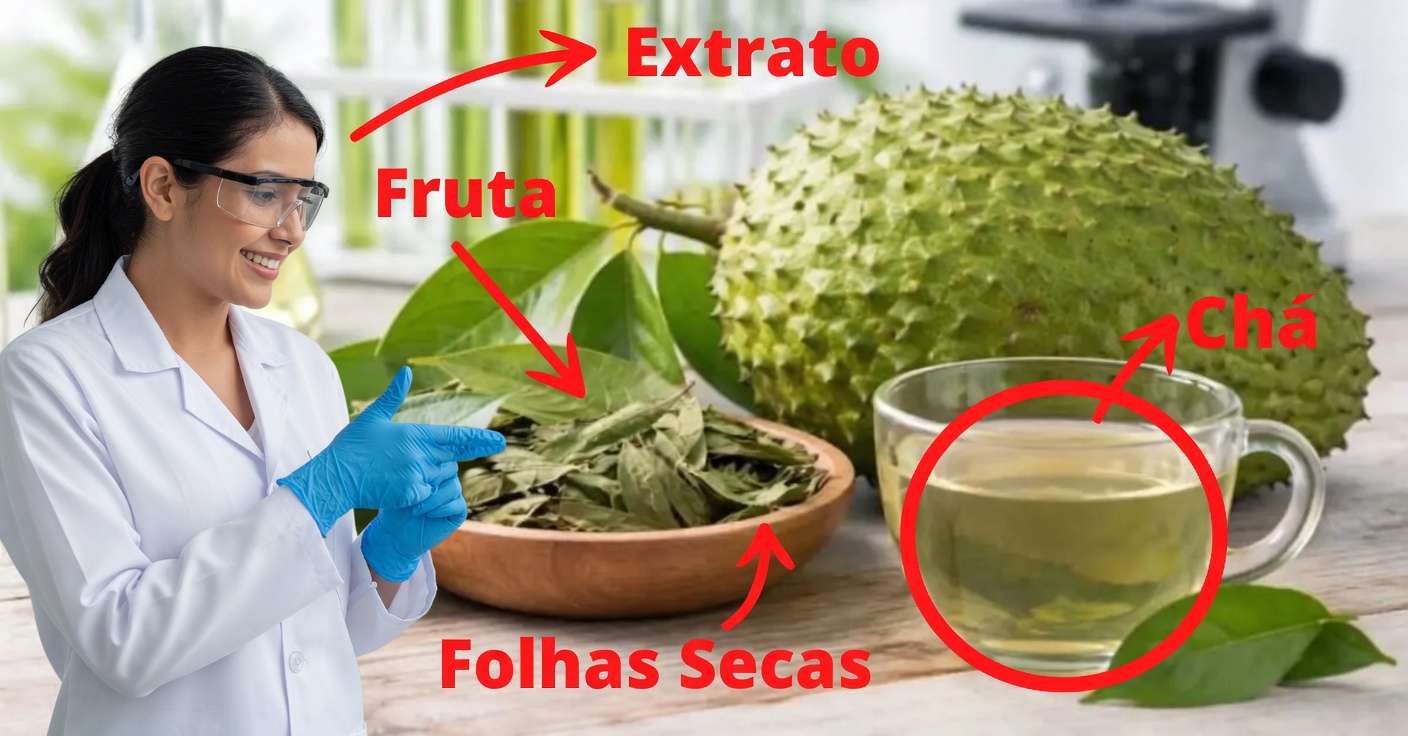 Graviola e câncer: mitos e o que diz a ciência