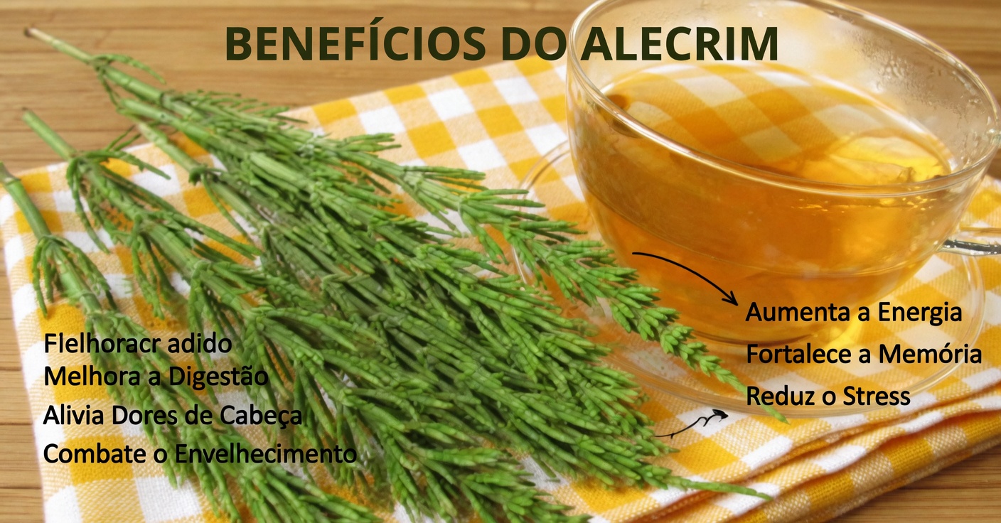 Infusões para limpar os rins de forma natural