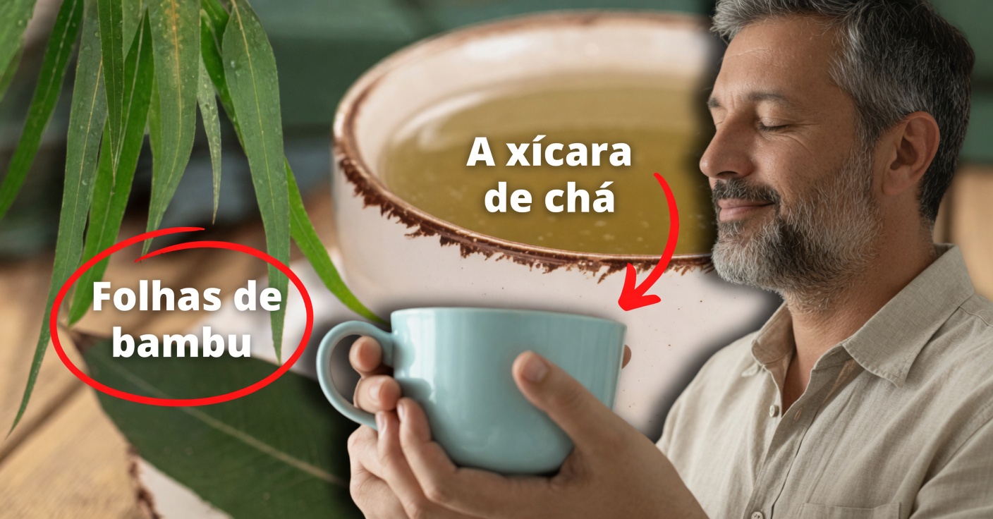 Benefícios do Eucalipto: Usos Medicinais e Como Aproveitá-los