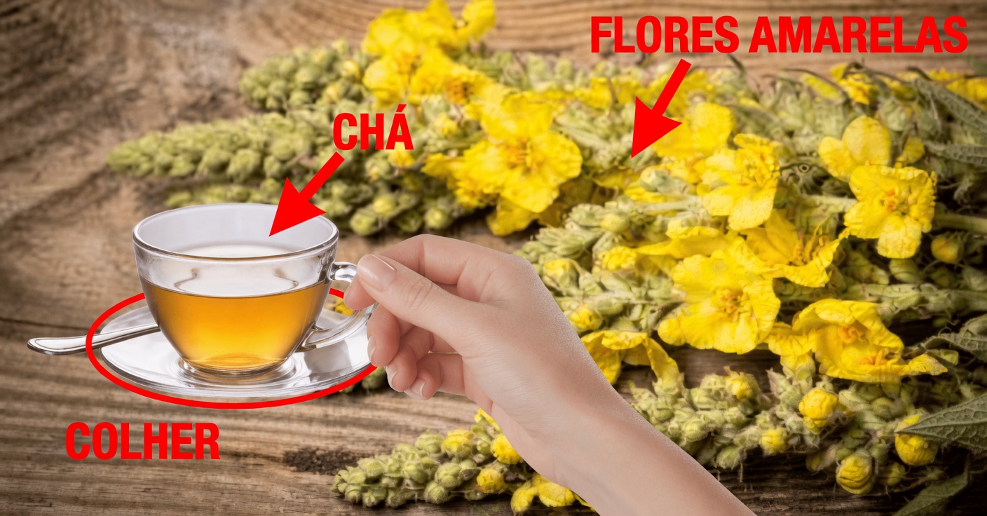 Gordolobo: Usos, Benefícios e Receitas Naturais