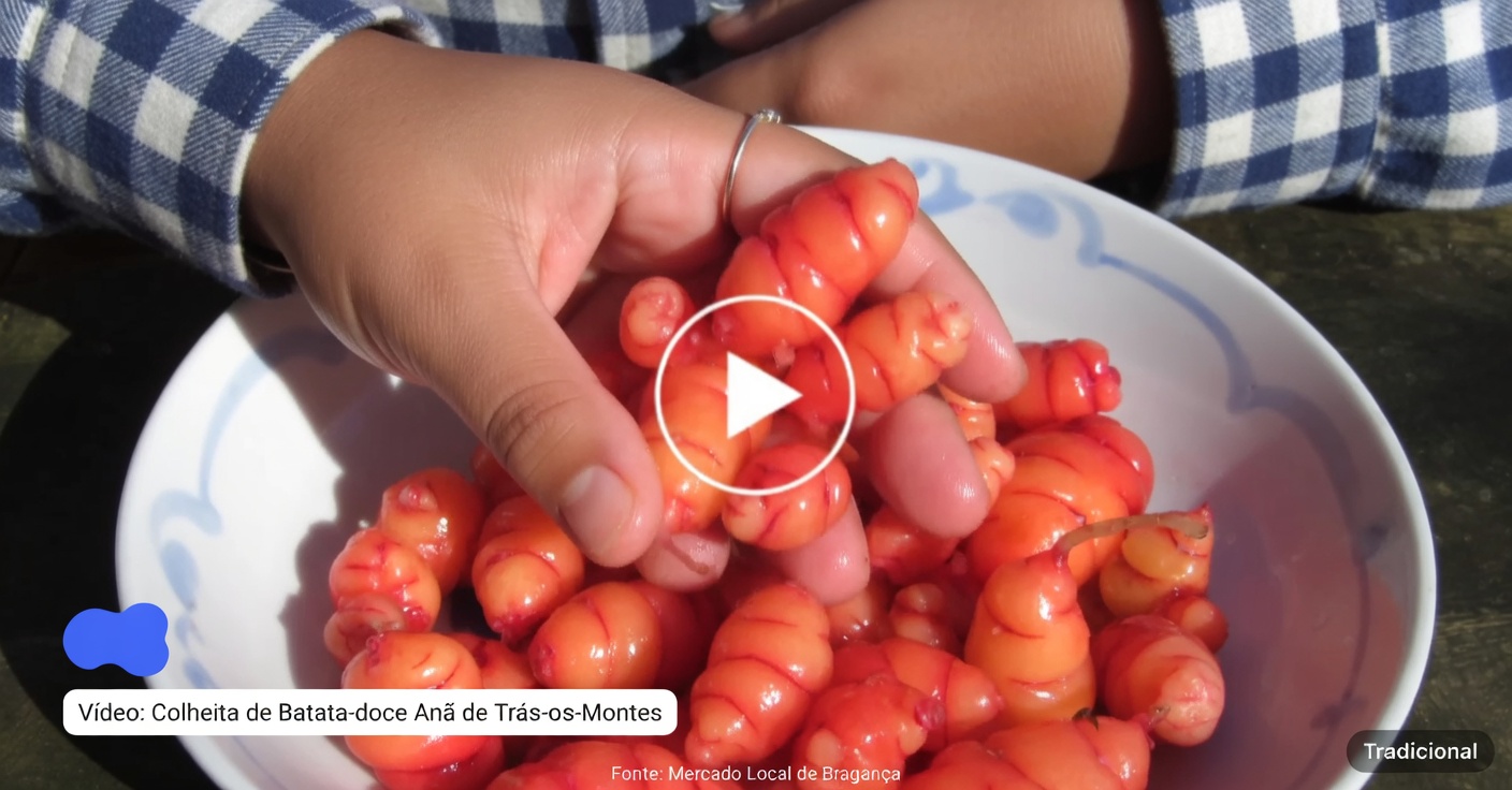 Grão-de-bico e ovos: uma alternativa rica em proteínas e sem carne