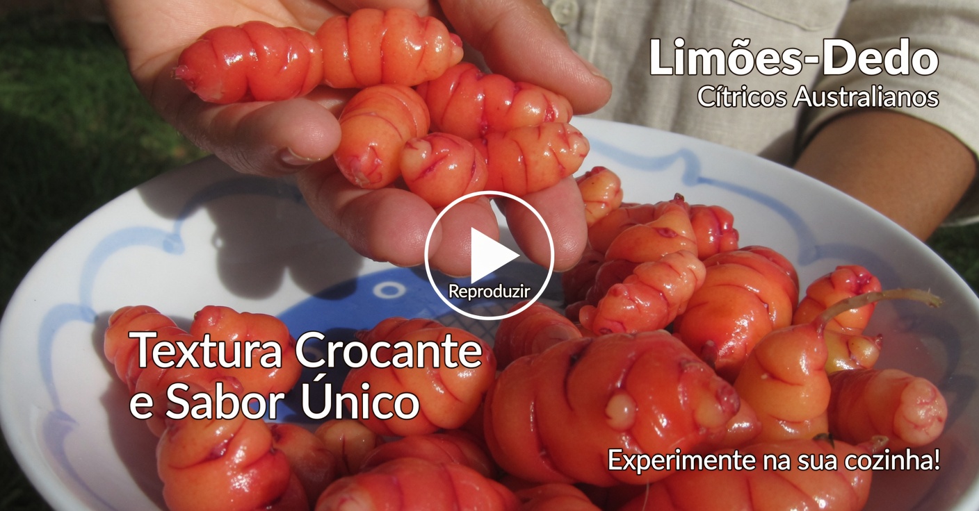 Descubra os Benefícios Naturais do Chá de Hibisco para Emagrecer