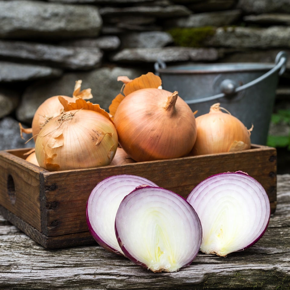 Cebolas: O Segredo para uma Bexiga e uma Próstata Como Novas