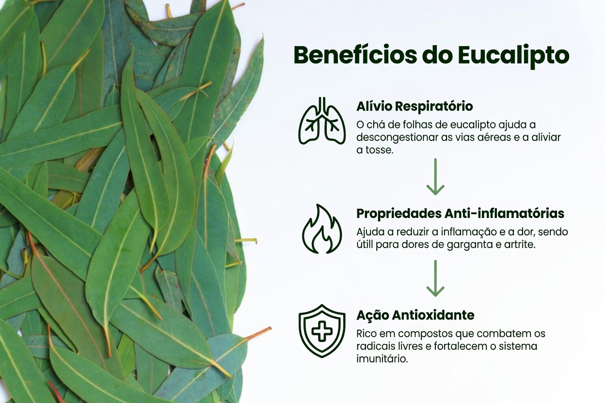 CHÁ DE EUCALIPTO - Para que serve? - Benefícios para a sua saúde e beleza
