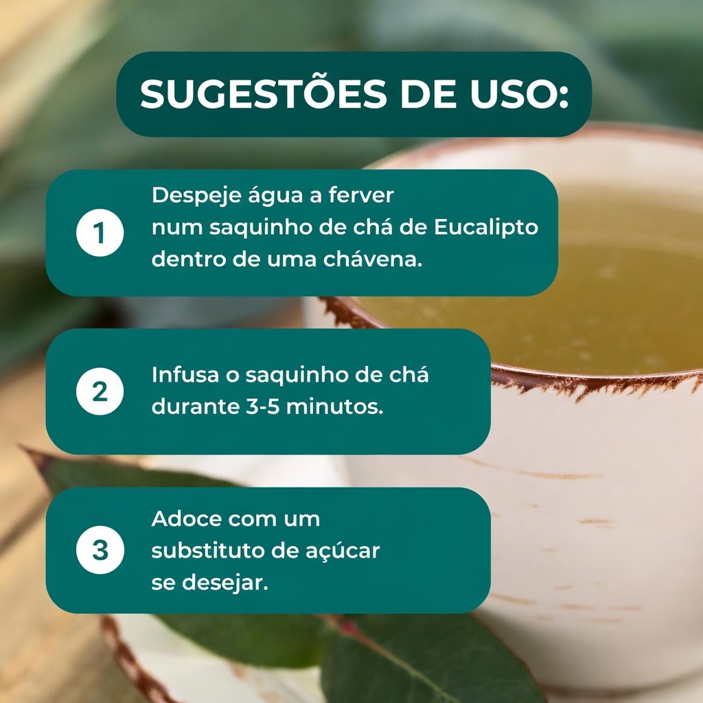CHÁ DE EUCALIPTO - Para que serve? - Benefícios para a sua saúde e beleza