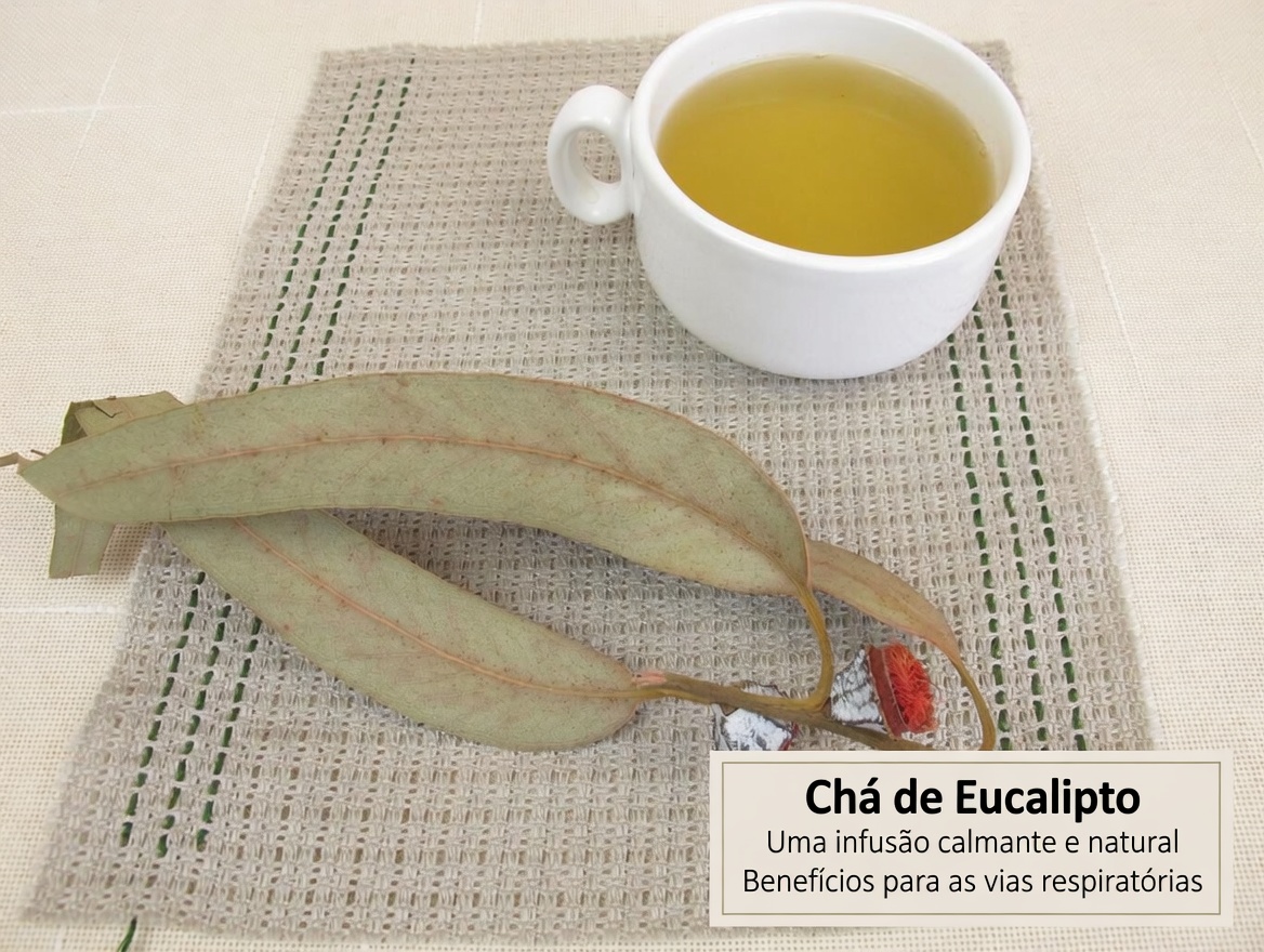 CHÁ DE EUCALIPTO - Para que serve? - Benefícios para a sua saúde e beleza