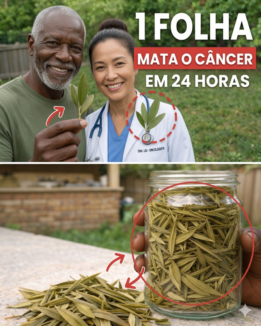 A Folha que Está Chamando Atenção: Explorando as Folhas de Graviola e Seu Potencial para o Bem-Estar