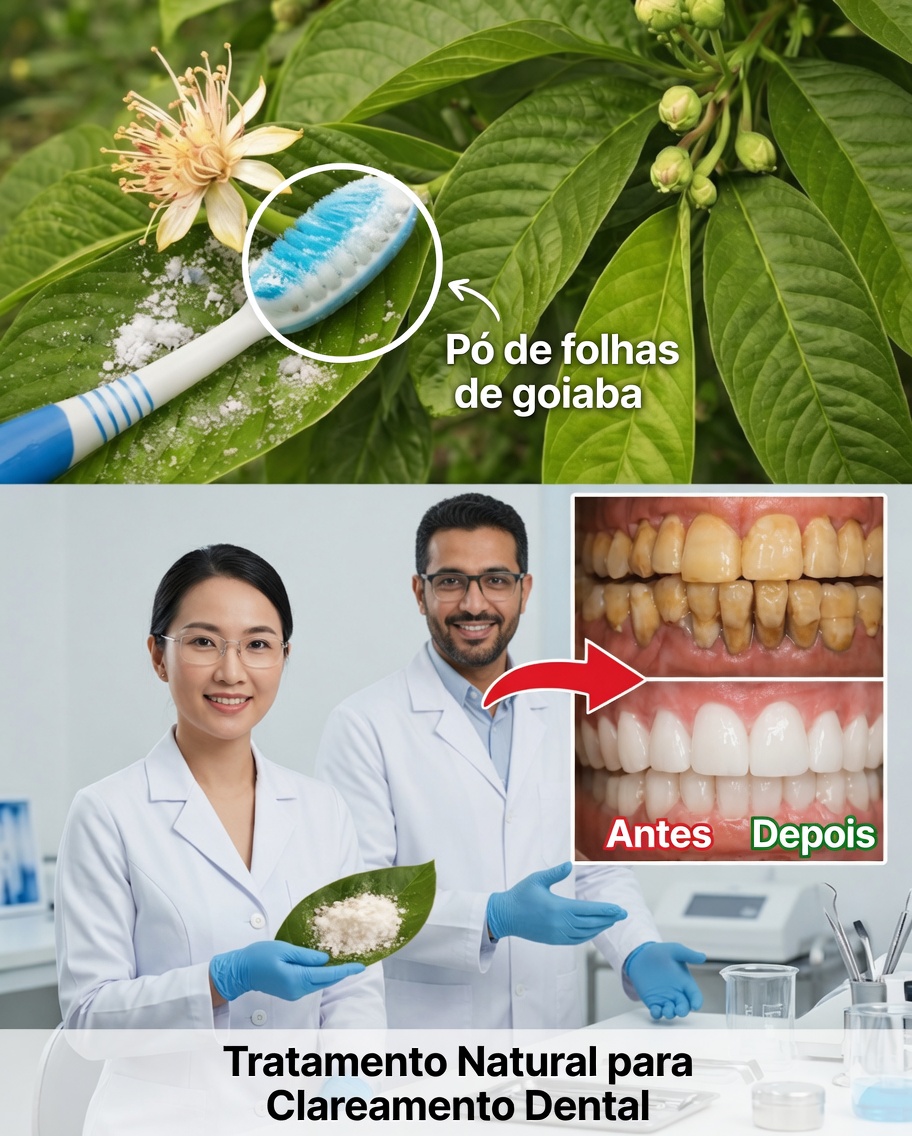 Top 3 Formas de Tratar a Cárie Dentária com Folhas de Goiaba – Simples e Econômico