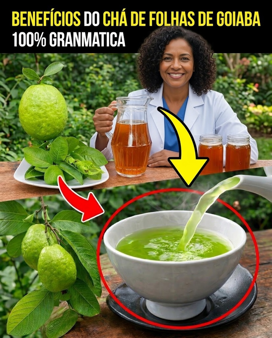 17 Razões para Beber Chá de Folha de Goiaba Duas Vezes por Semana