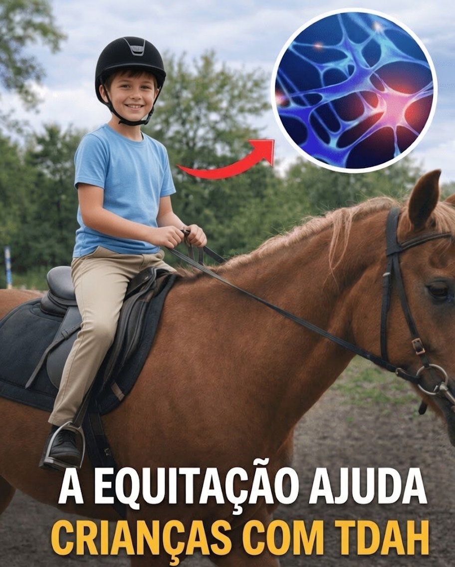 A Equitação Terapêutica Pode Ajudar no Desenvolvimento da Linguagem e do Pensamento em Crianças com Autismo ou Deficiência Intelectual?