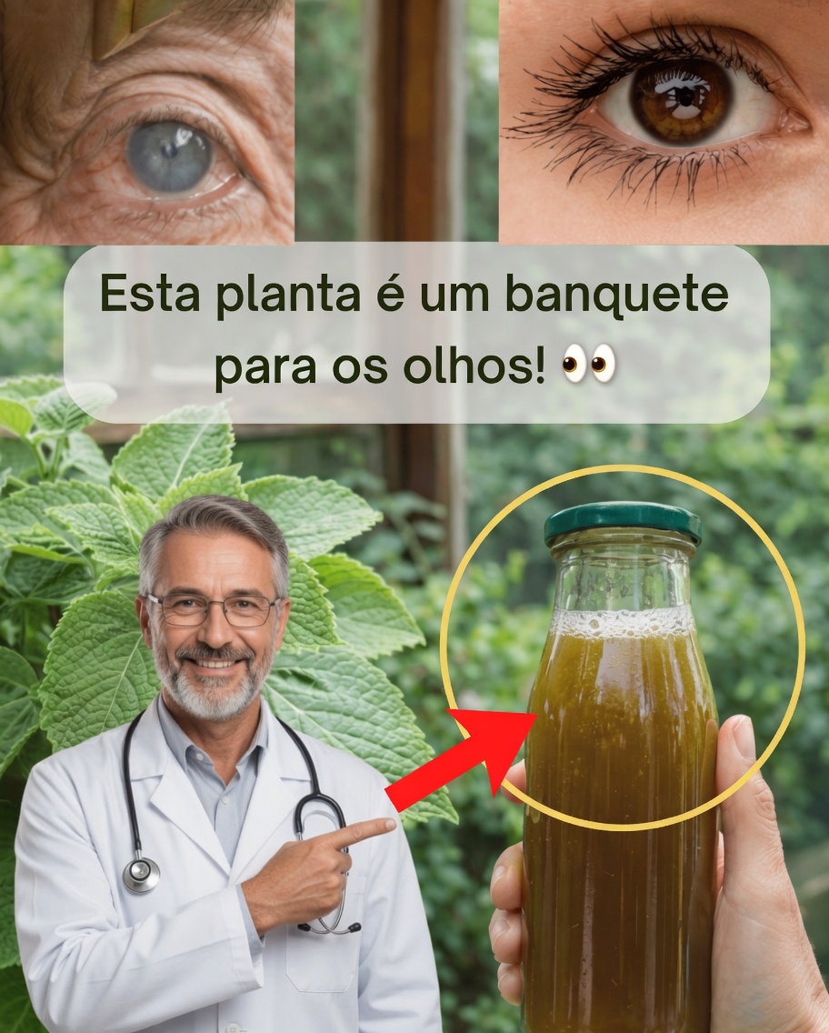 Discover a Natural and Simple Way to Support Your Eye Comfort and Vision Every Day