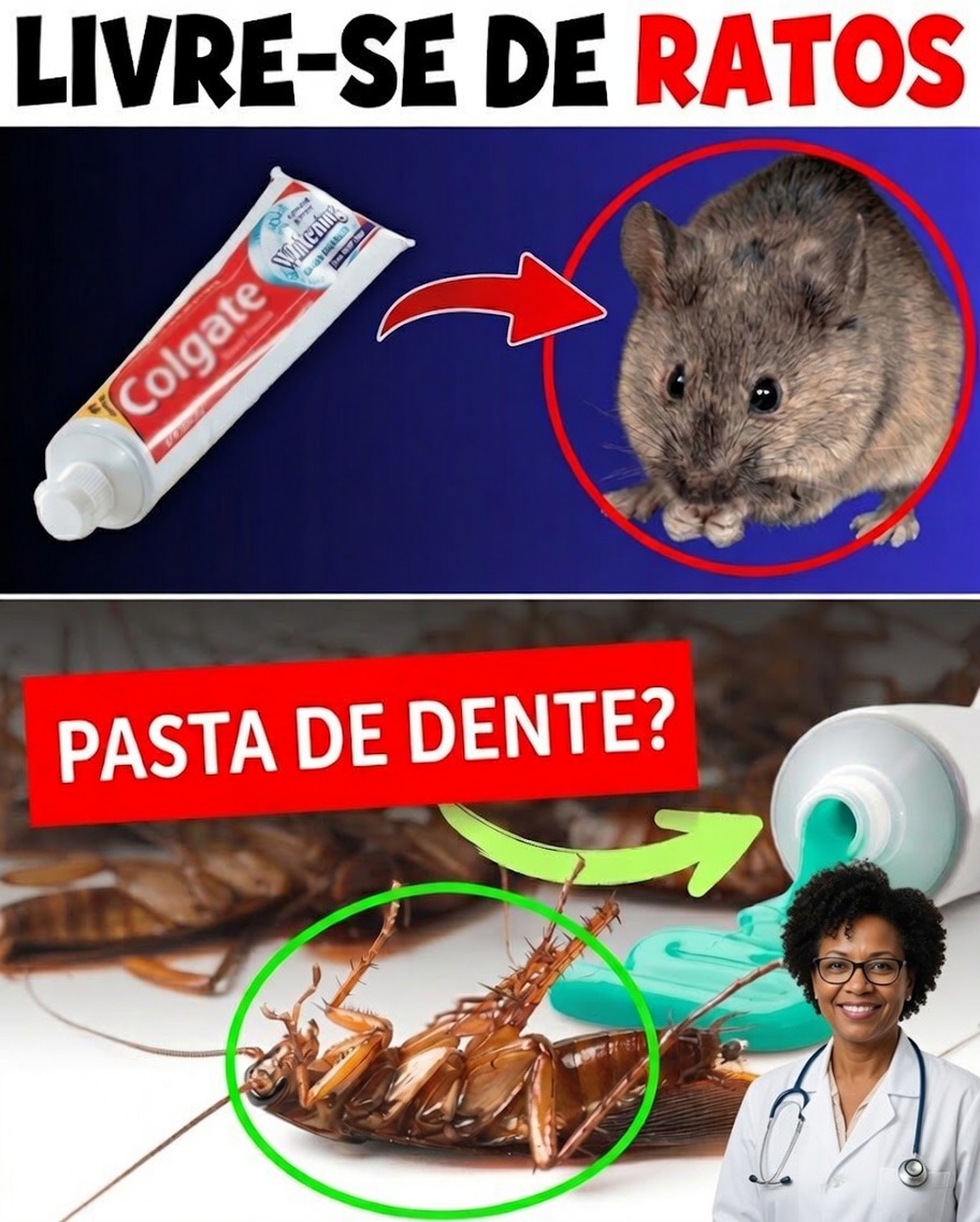 Hack Caseiro Surpreendente: Afaste as Pragas com Pasta de Dente!