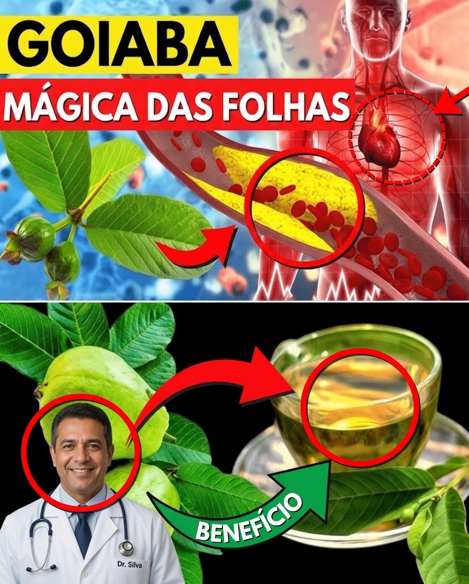 17 Razões Poderosas para Beber Chá de Folha de Goiaba Duas Vezes por Semana