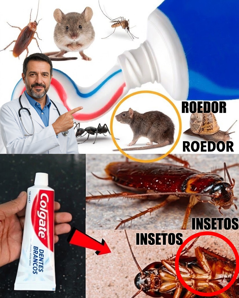 Pasta de dentes: a aliada surpreendente contra baratas e formigas