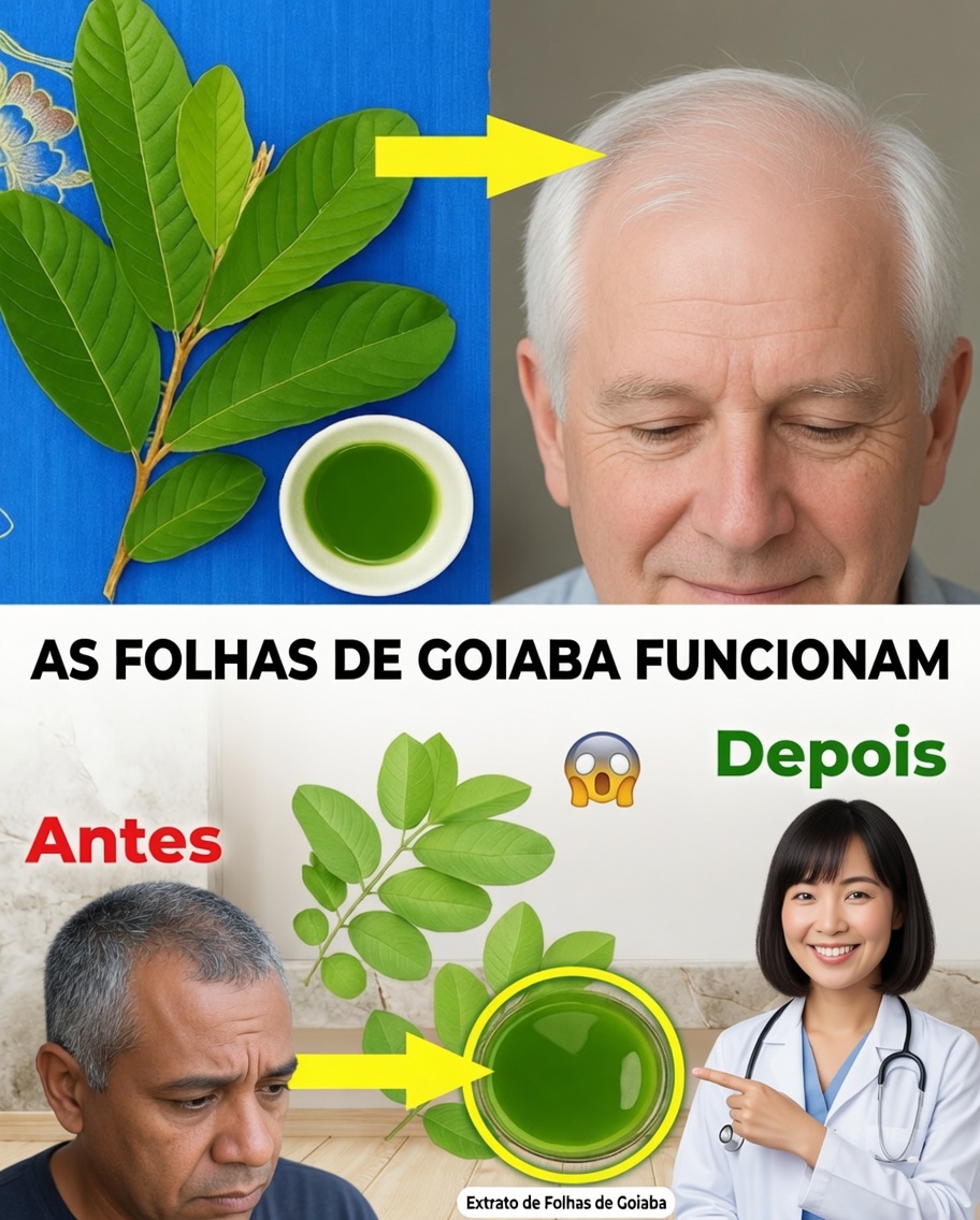 Das Raízes às Pontas: Folhas de Goiaba para Renovar o Cabelo
