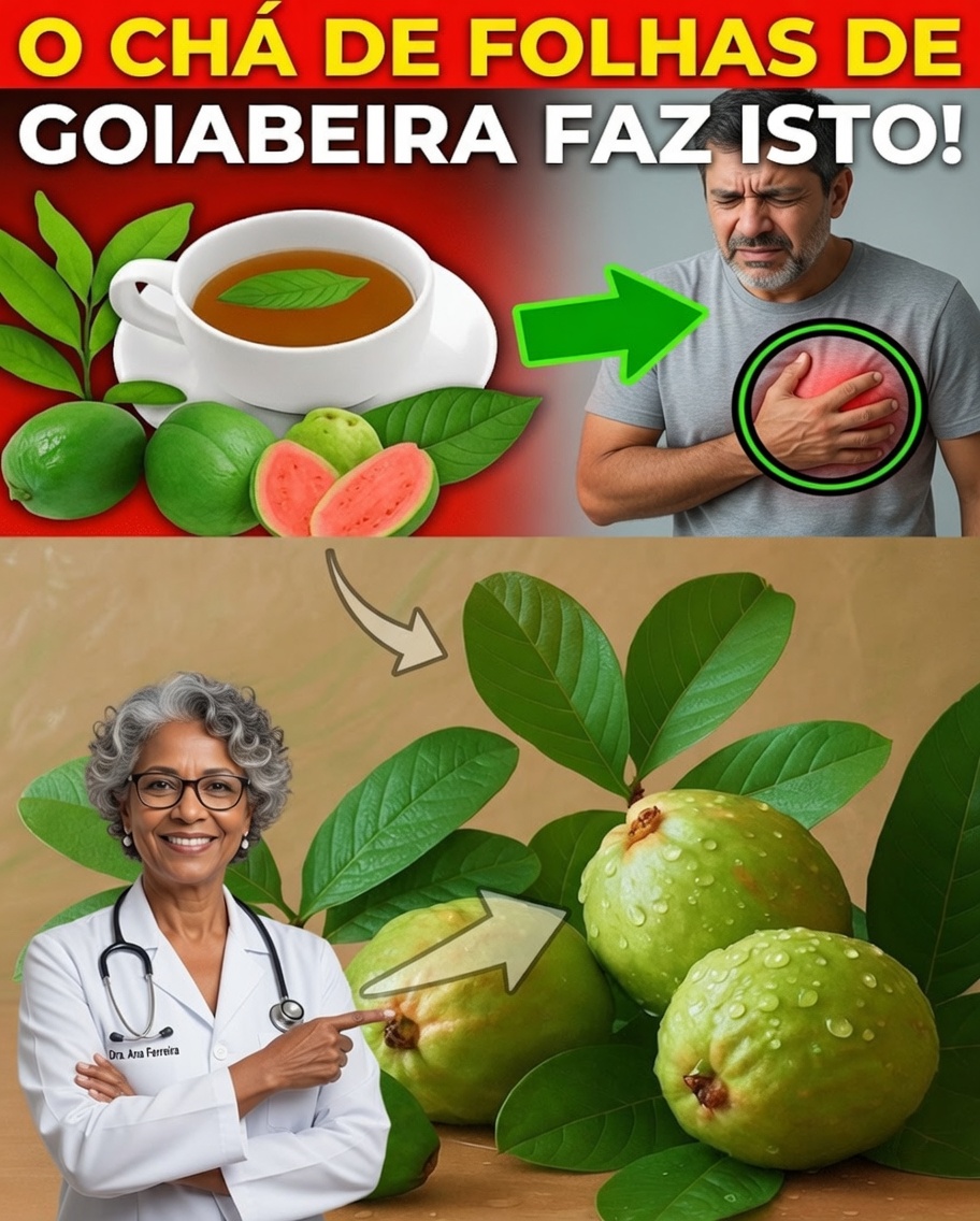 O Antigo Segredo das Folhas de Goiaba que o Bem-Estar Moderno Está Redescobrindo