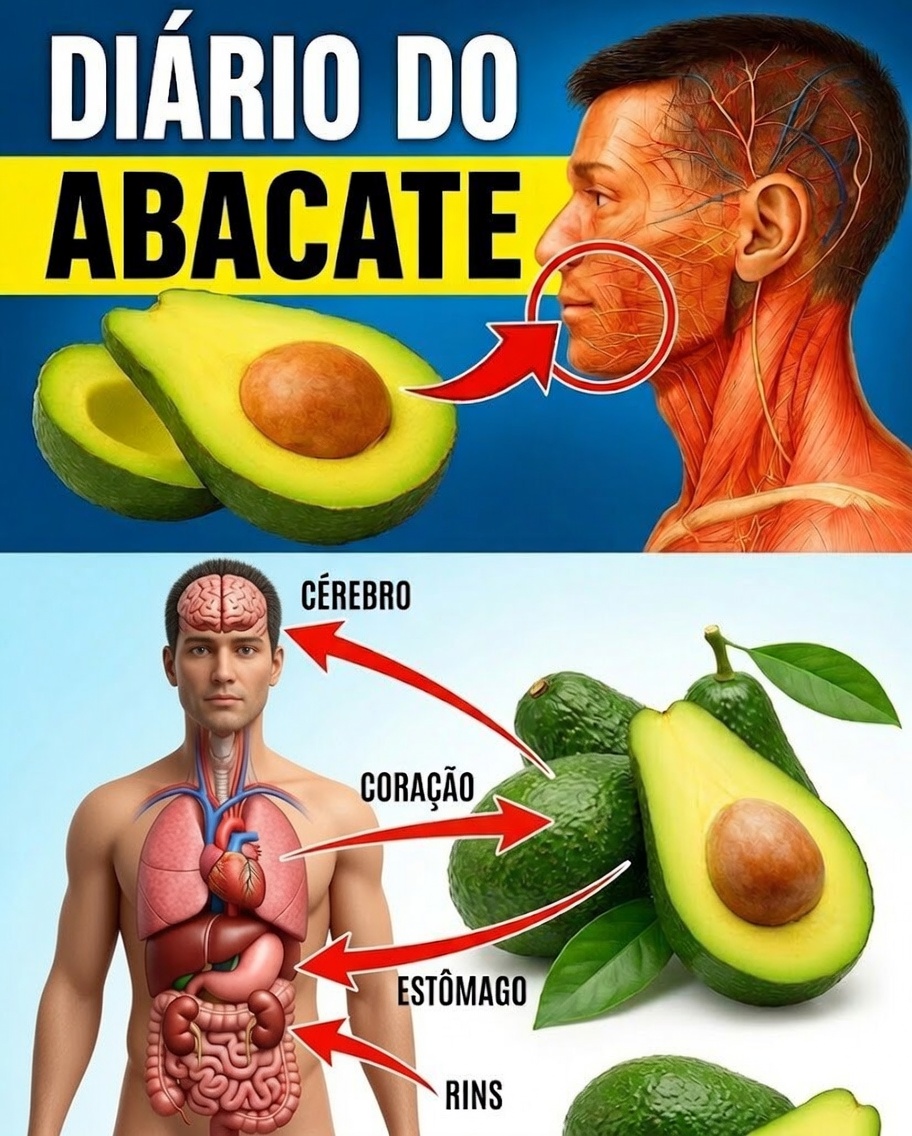 Pensando em Comer Abacate? Descubra 9 Coisas que Quase Ninguém Conta