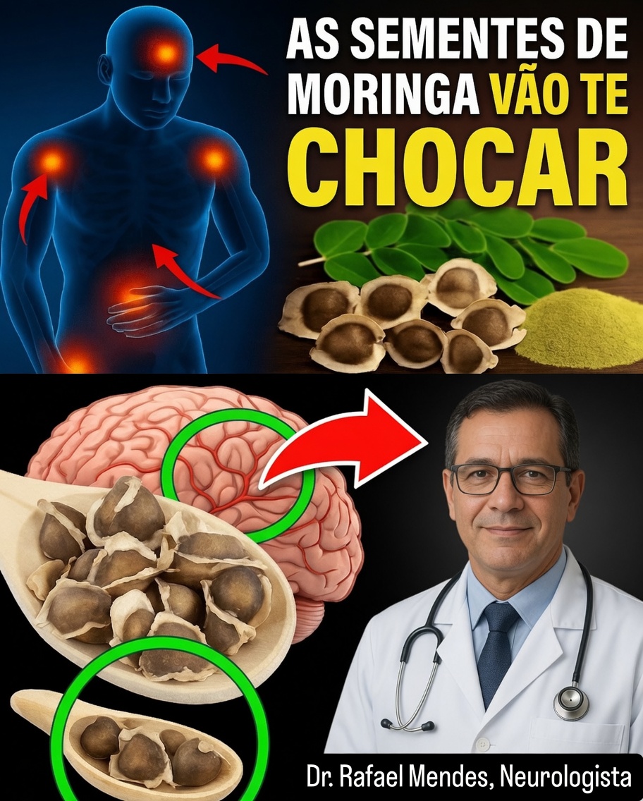 Por que as Sementes de Moringa São um Tesouro Escondido para a Sua Saúde