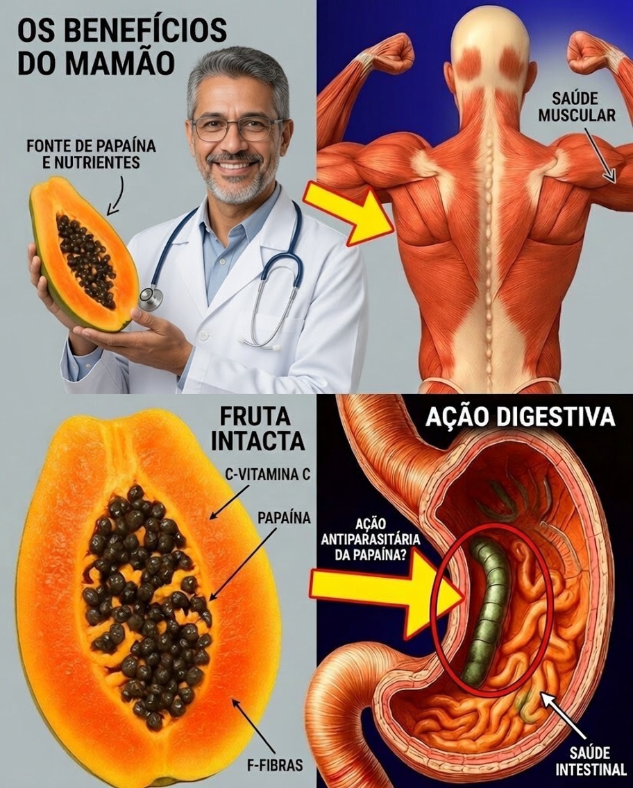 10 Usos Surpreendentes das Sementes de Mamão na Vida Natural
