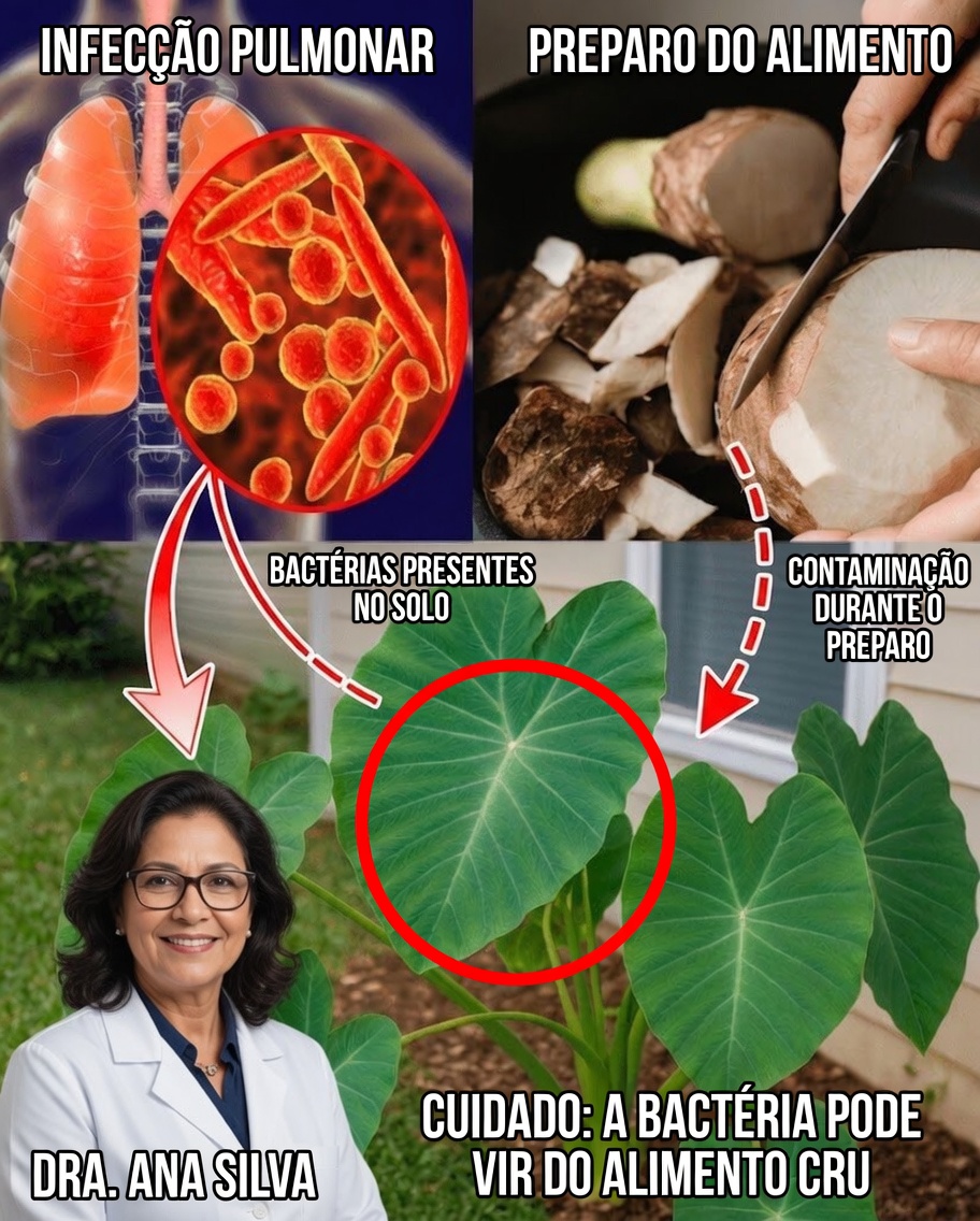 Taro Desvendado: A Raiz Ancestral Que Pode Transformar Sua Saúde Natural
