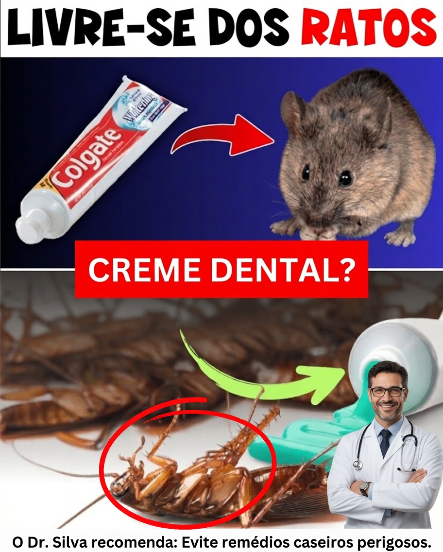 O Truque Surpreendente com Pasta de Dente que Ajuda a Manter as Pragas Domésticas Afastadas Naturalmente