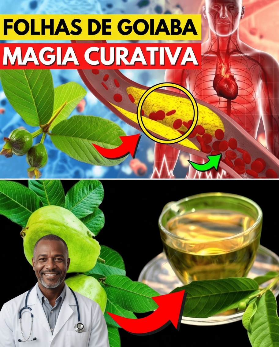 17 Razões Poderosas para Beber Chá de Folha de Goiabeira Duas Vezes por Semana para uma Saúde Melhor