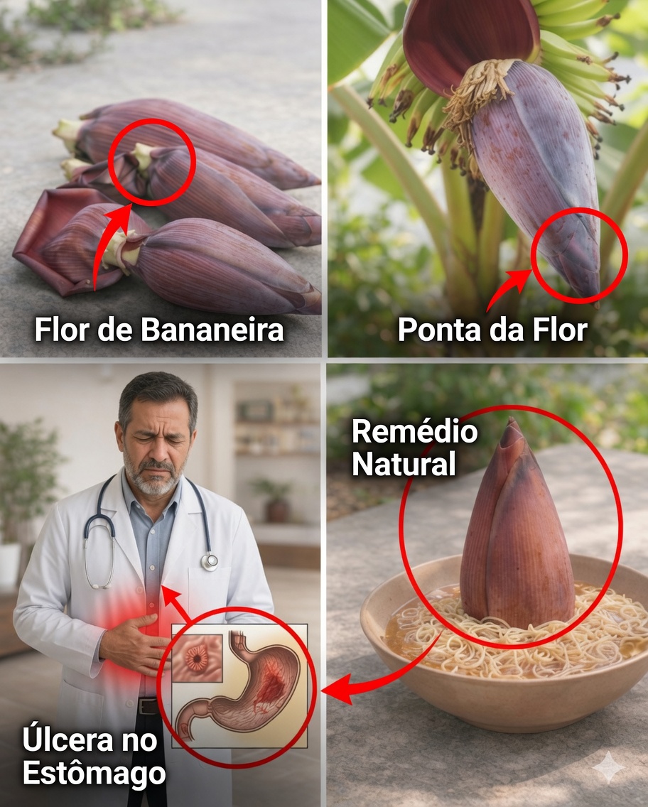 7 Benefícios Surpreendentes da Flor de Bananeira para a Saúde que Você Precisa Conhecer